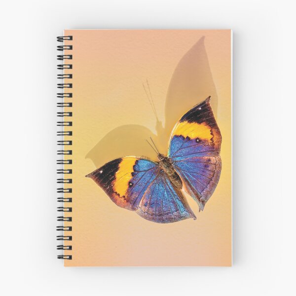Item preview, Indian Leafwing Butterfly designed and sold by Kay Brewer.