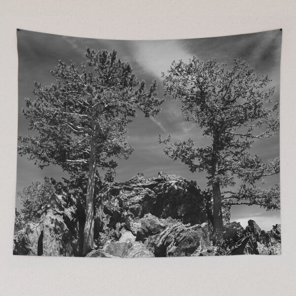 Item preview, Sentinels, Rocky Mountain National Park designed and sold by Douglas E. Welch Design and Photography.