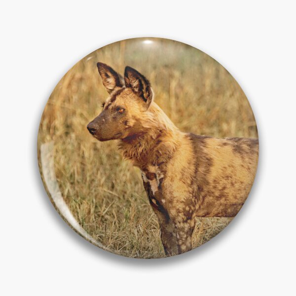 Item preview, Wild Dog of Botswana designed and sold by Kay Brewer.