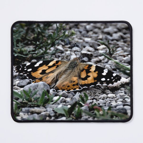 Item preview, Frozen reality - Beautiful nature 835 designed and sold by deep-sea-birds.