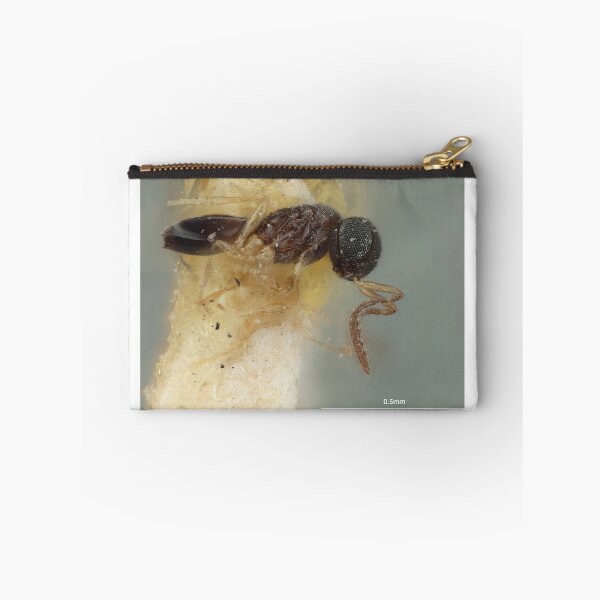 Item preview, Yellow Legged Wasp | Insect Art designed and sold by GammaRay.