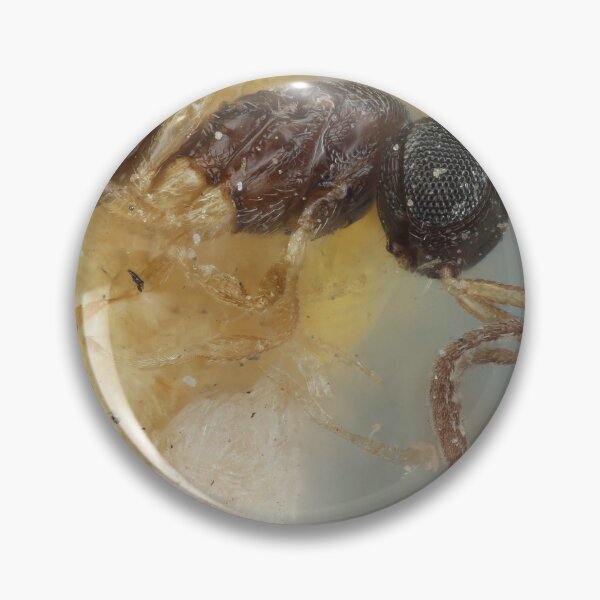 Item preview, Yellow Legged Wasp | Insect Art designed and sold by GammaRay.