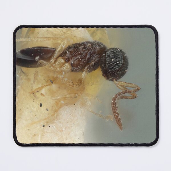 Item preview, Yellow Legged Wasp | Insect Art designed and sold by GammaRay.