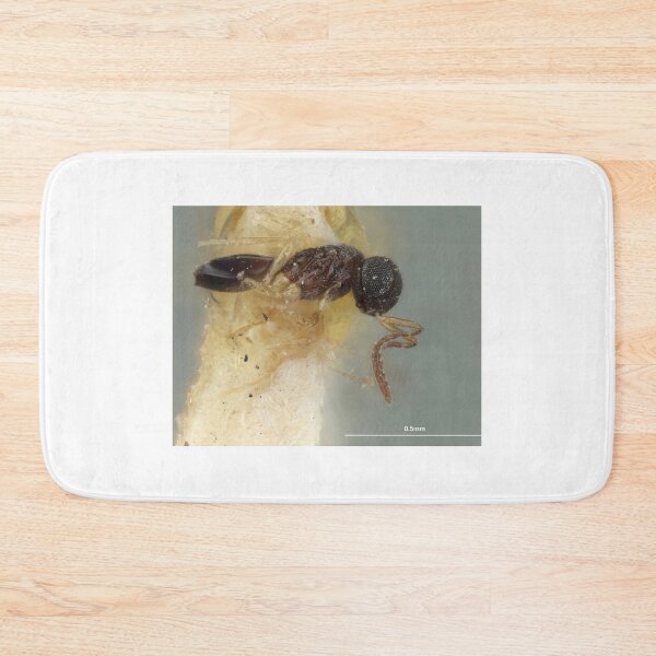 Item preview, Yellow Legged Wasp | Insect Art designed and sold by GammaRay.