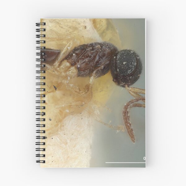Item preview, Yellow Legged Wasp | Insect Art designed and sold by GammaRay.