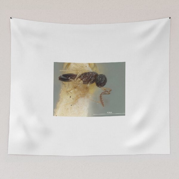 Item preview, Yellow Legged Wasp | Insect Art designed and sold by GammaRay.