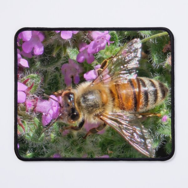Item preview, Bee on purple  designed and sold by DancingCreek.
