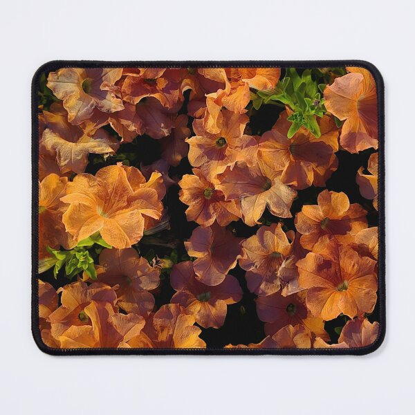 Item preview, Golden hour petunia bloom designed and sold by Je-ss.