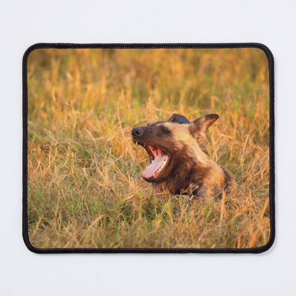 Item preview, Alpha Wild Dog Of Botswana designed and sold by Kay Brewer.