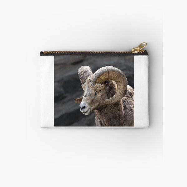 Item preview, Majestic Bighorn Ram Portrait designed and sold by PygmyTitan Photo.