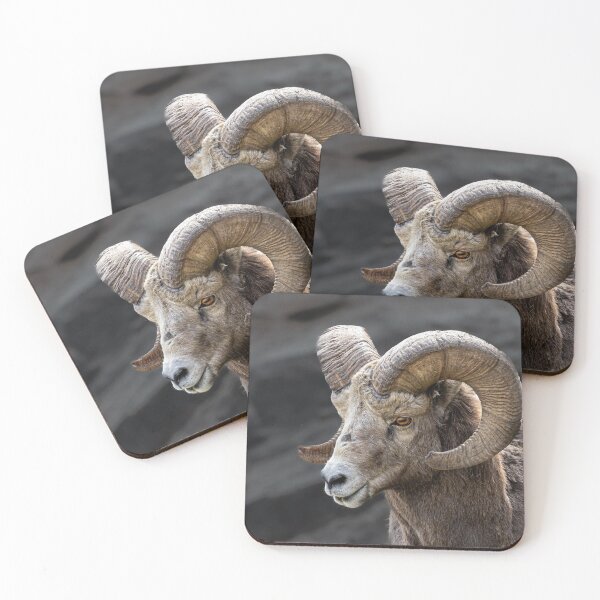 Item preview, Majestic Bighorn Ram Portrait designed and sold by PygmyTitan Photo.