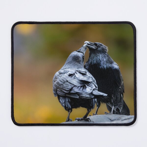 Item preview, Ravens Bonding designed and sold by PygmyTitan Photo.