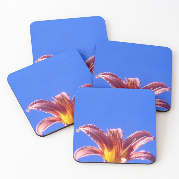 Item preview, Tiger Lily shot in 35mm film designed and sold by Nova Kowalski.