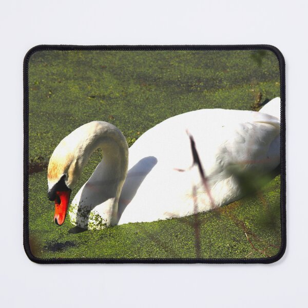 Item preview, Mute Swan designed and sold by Judy Geller.