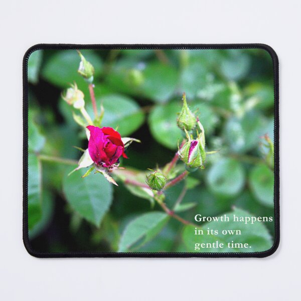 Item preview, Rose Bud Photography – Gentle Growth Quote designed and sold by Seeds of Wellness.