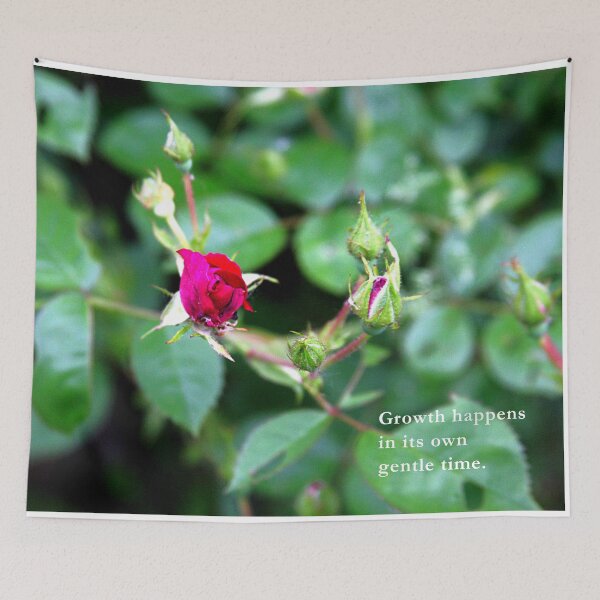 Item preview, Rose Bud Photography – Gentle Growth Quote designed and sold by Seeds of Wellness.