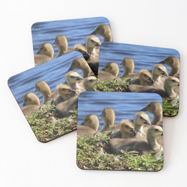 Item preview, Goslings designed and sold by Judy Geller.