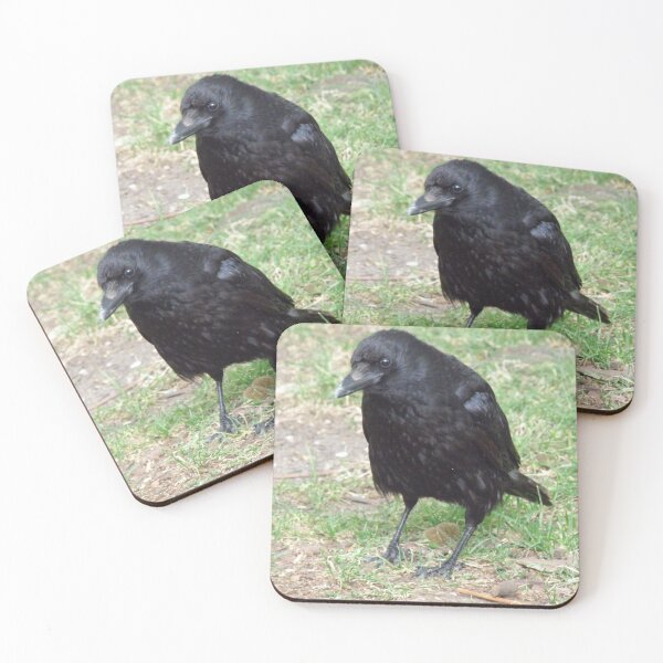 Item preview, Crafty Crow Photograph designed and sold by naturegallery.