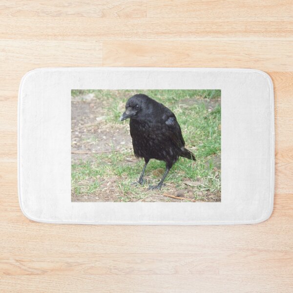 Item preview, Crafty Crow Photograph designed and sold by naturegallery.