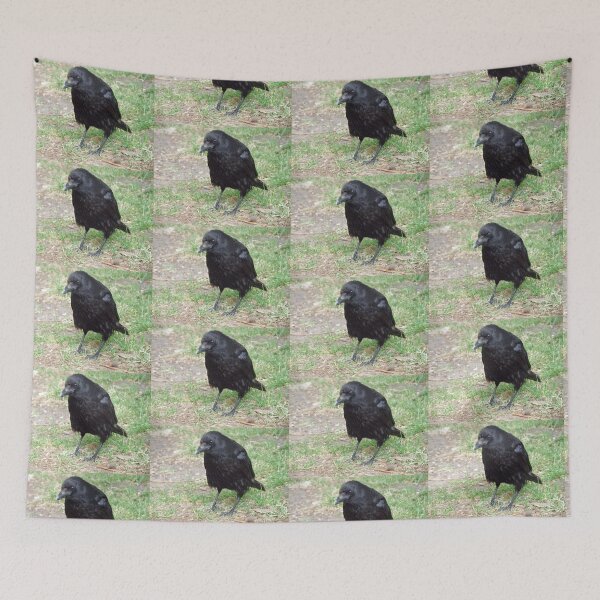 Item preview, Crafty Crow Photograph designed and sold by naturegallery.