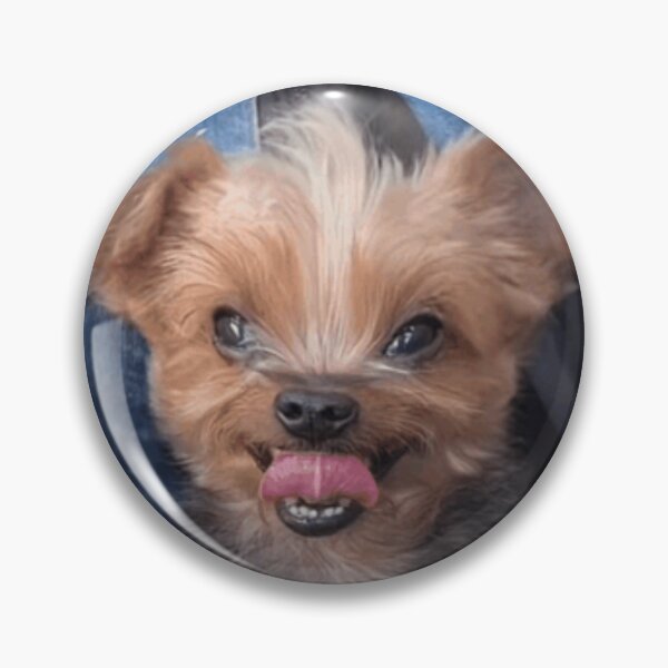 Item preview, Silly Doggo Meme designed and sold by wildtomatogirl.
