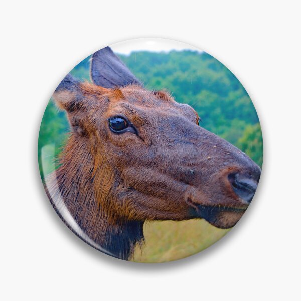Item preview, Female Elk, Matriarchal Herd Leader designed and sold by AMacGPhilly.