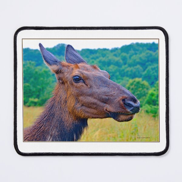 Item preview, Female Elk, Matriarchal Herd Leader designed and sold by AMacGPhilly.