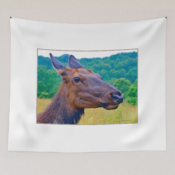 Item preview, Female Elk, Matriarchal Herd Leader designed and sold by AMacGPhilly.