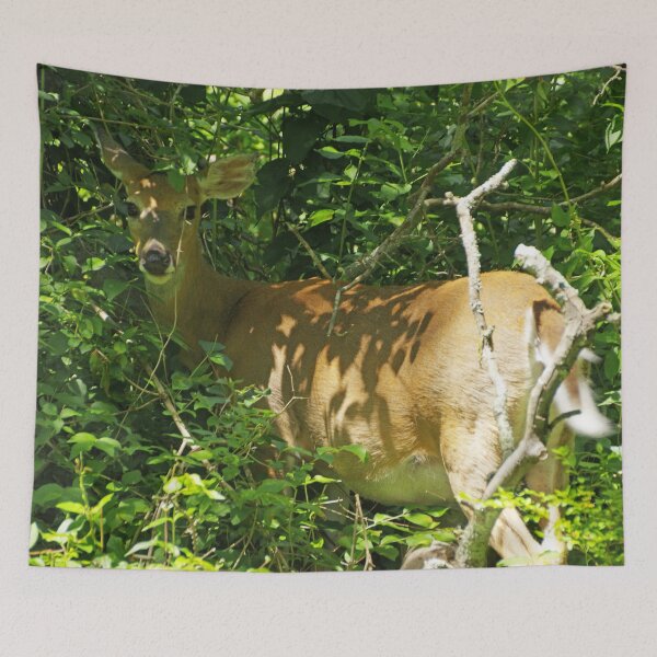 Item preview, Are You Checking Out My Butt? designed and sold by GDPhotowerks.