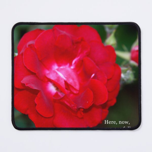 Item preview, Full Bloom Rose Photography – Inspirational Quote designed and sold by Seeds of Wellness.