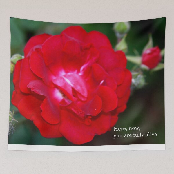 Item preview, Full Bloom Rose Photography – Inspirational Quote designed and sold by Seeds of Wellness.