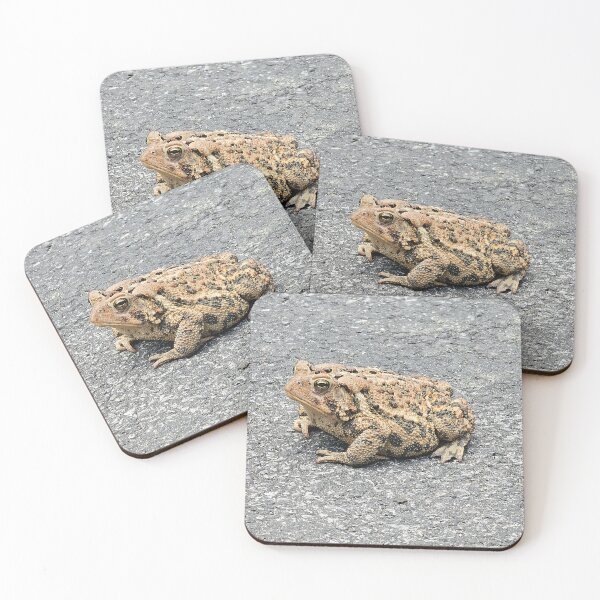Item preview, Toad on Pavement designed and sold by Quincy-Hedgehog.