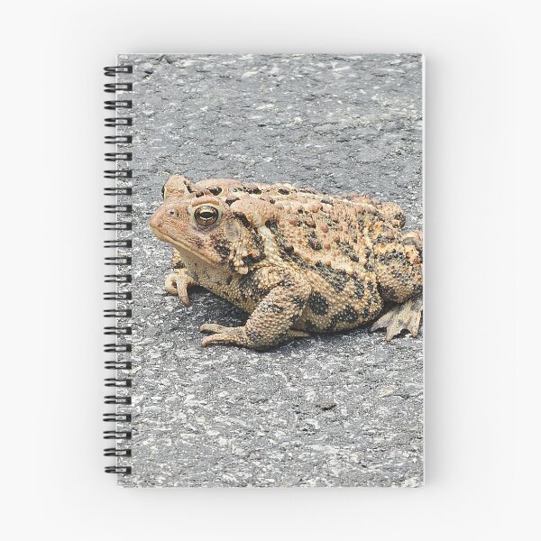 Item preview, Toad on Pavement designed and sold by Quincy-Hedgehog.