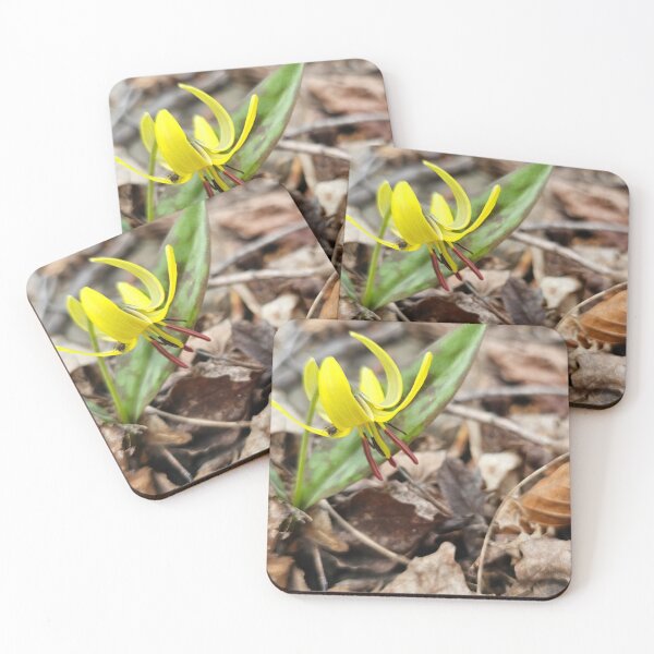 Item preview, Trout Lily in Early Spring designed and sold by Quincy-Hedgehog.