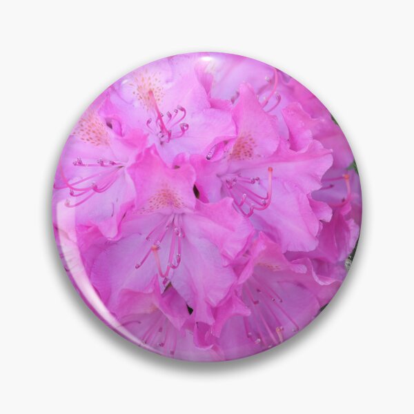Item preview, Rhododendron Pink Beauty designed and sold by BostonArcImage.