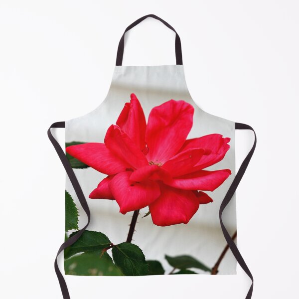 Item preview, Withered Rose Photography – Quiet Renewal designed and sold by Seeds of Wellness.