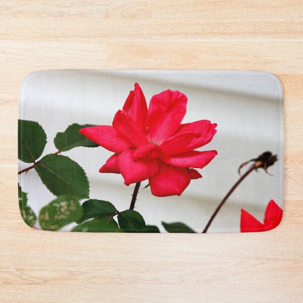 Item preview, Withered Rose Photography – Quiet Renewal designed and sold by Seeds of Wellness.