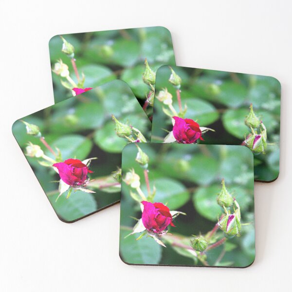 Item preview, Rose Bud Photography – Botanical Fine Art designed and sold by Seeds of Wellness.