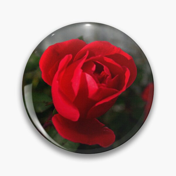 Item preview, Full Bloom Rose Photography – Botanical Art designed and sold by Seeds of Wellness.