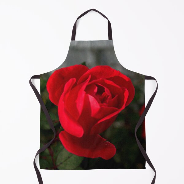 Item preview, Full Bloom Rose Photography – Botanical Art designed and sold by Seeds of Wellness.