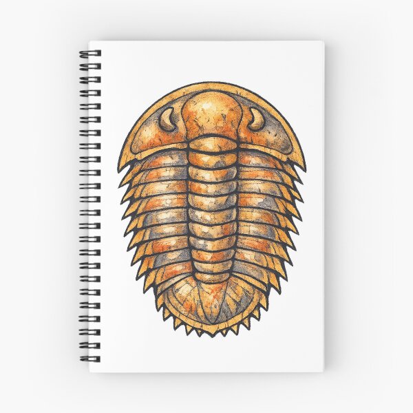 Item preview, Trilobite Fossil Prehistoric Sea Arthropod Specimen designed and sold by eignvalue.