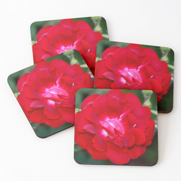 Item preview, Full Bloom Rose Photography – Red Floral Art designed and sold by Seeds of Wellness.