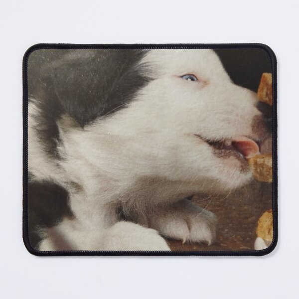 Item preview, In the dog breeder always is awesome must to be and smell. Light, not obsessive, thin aroma ,like a doctor s sausage. designed and sold by Valgasnews011.