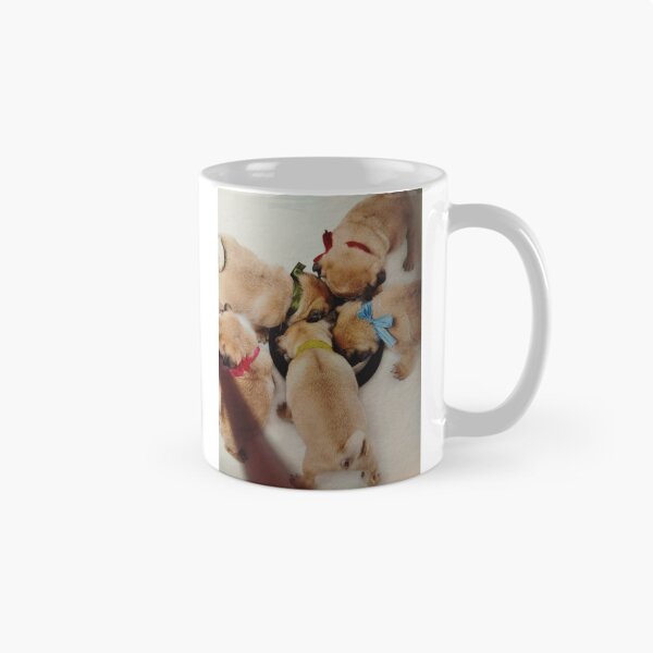 Item preview, To be a consciousness,that we are, what we are eating, thus to orzanise 6 times /day eating, balanced, with vitamins and minerals! designed and sold by Valgasnews011.