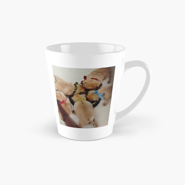 Item preview, To be a consciousness,that we are, what we are eating, thus to orzanise 6 times /day eating, balanced, with vitamins and minerals! designed and sold by Valgasnews011.