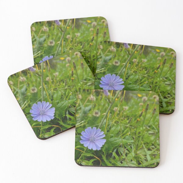 Item preview, Chicory Flower in the Corner designed and sold by Quincy-Hedgehog.
