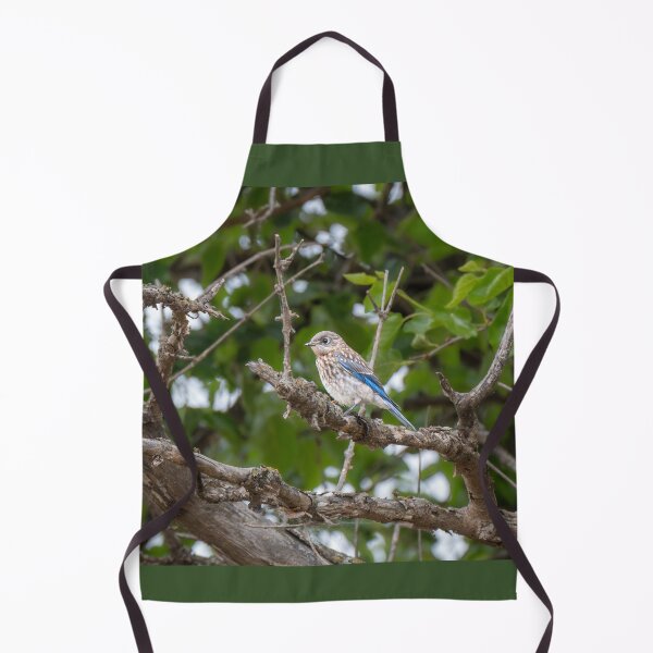 Item preview,  Juvenile Eastern Bluebird in Spring designed and sold by Debra Martz.