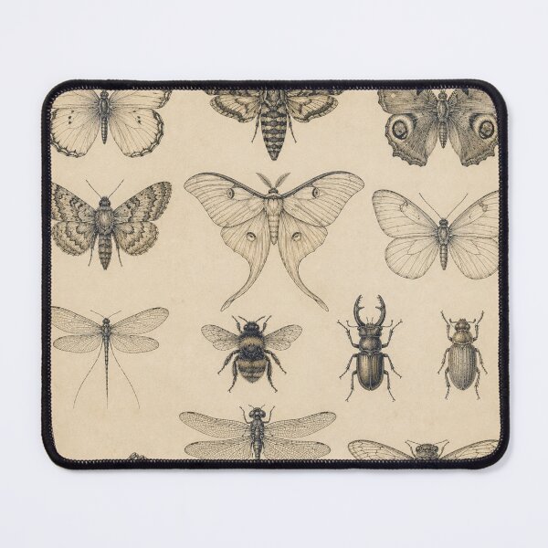 Item preview, Vintage Insect Collection designed and sold by Girlsale.
