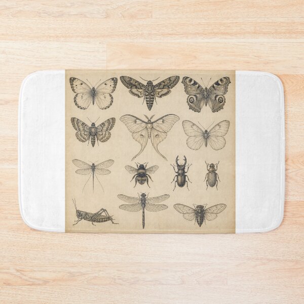 Item preview, Vintage Insect Collection designed and sold by Girlsale.