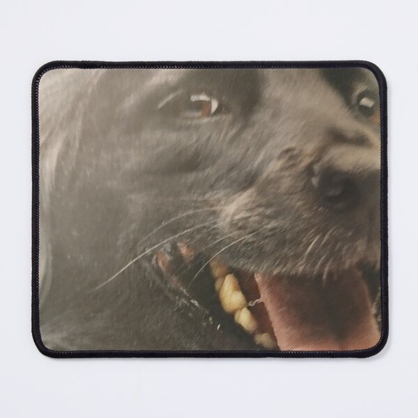 Item preview, To be a photomodel, and on a photo he is smiling in all teeth, scratching behind an ear, or tail wags. designed and sold by Valgasnews011.